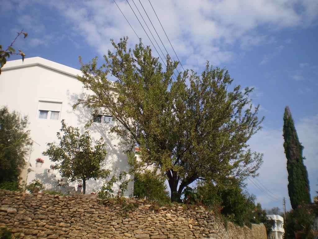 Apartment Vuk i Novak Ulcinj Buitenkant foto